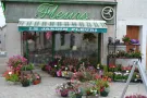 Le jardin fleuri fleuriste